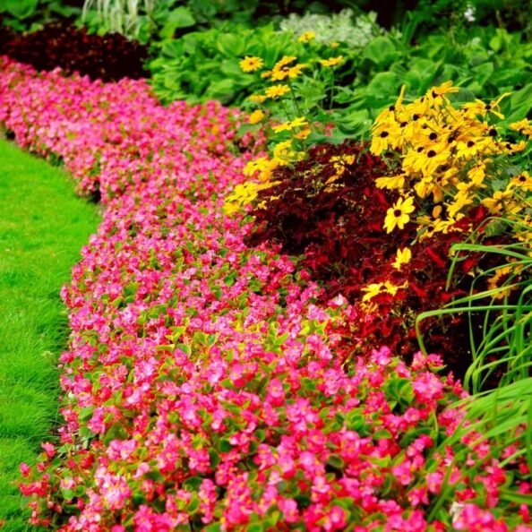 Bepflanzung und Gestaltung mit Blumen und Sträuchern